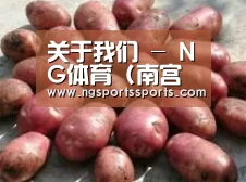 产品展示标题5