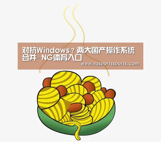 对抗Windows?两大国产操作系统合并-NG体育入口(图1) 南宫体育官网