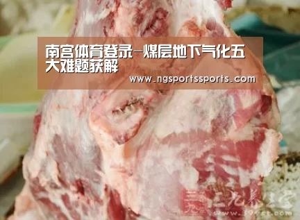 南宫体育登录-煤层地下气化五大难题获解(图3) NG体育入口