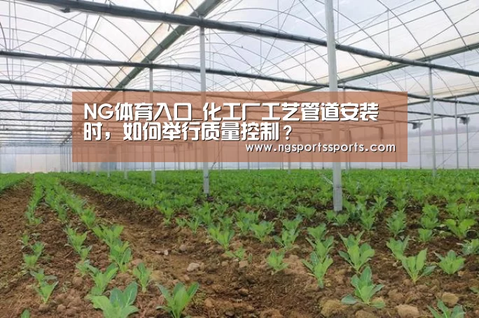 NG体育入口_化工厂工艺管道安装时,如何举行质量控制?(图3) 南宫体育登录