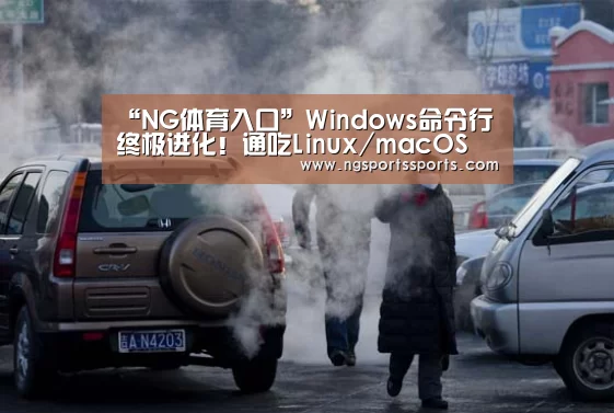 “NG体育入口”Windows命令行终极进化!通吃Linux/macOS(图2) NG体育入口